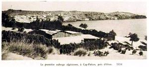 CAP FALCON (1070)
